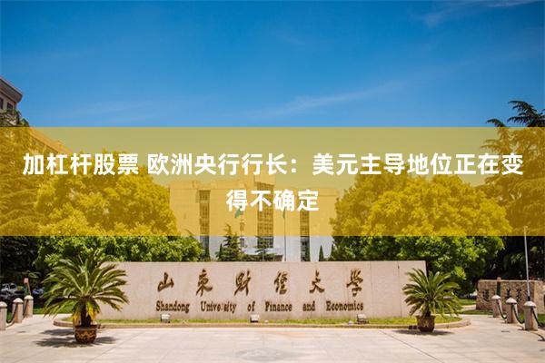 加杠杆股票 欧洲央行行长：美元主导地位正在变得不确定