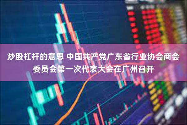 炒股杠杆的意思 中国共产党广东省行业协会商会委员会第一次代表大会在广州召开