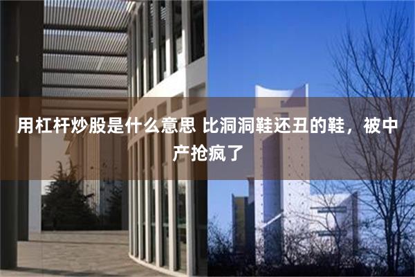 用杠杆炒股是什么意思 比洞洞鞋还丑的鞋，被中产抢疯了