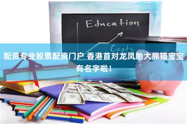 配资专业股票配资门户 香港首对龙凤胎大熊猫宝宝有名字啦！