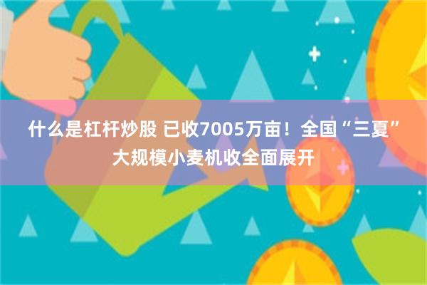 什么是杠杆炒股 已收7005万亩！全国“三夏”大规模小麦机收全面展开
