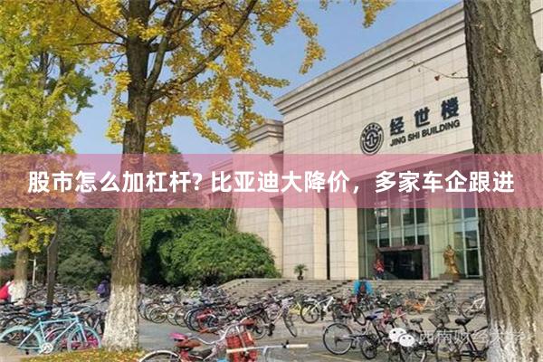 股市怎么加杠杆? 比亚迪大降价，多家车企跟进