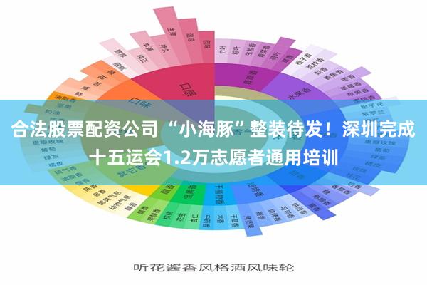 合法股票配资公司 “小海豚”整装待发！深圳完成十五运会1.2万志愿者通用培训