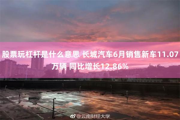 股票玩杠杆是什么意思 长城汽车6月销售新车11.07万辆 同比增长12.86%