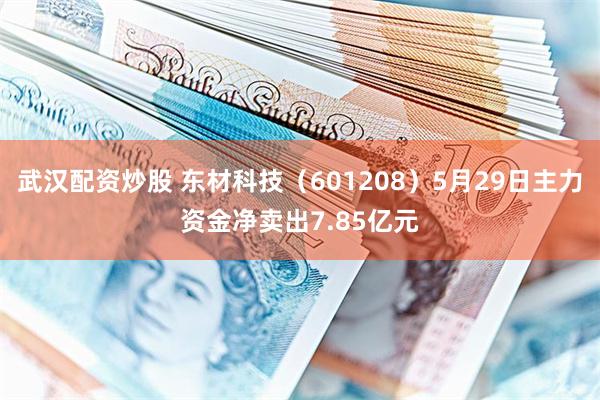 武汉配资炒股 东材科技（601208）5月29日主力资金净卖出7.85亿元