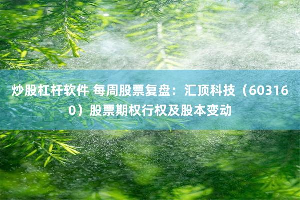 炒股杠杆软件 每周股票复盘：汇顶科技（603160）股票期权行权及股本变动
