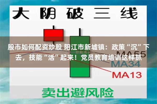 股市如何配资炒股 阳江市新墟镇：政策“沉”下去，技能“活”起来！党员教育培训这样抓