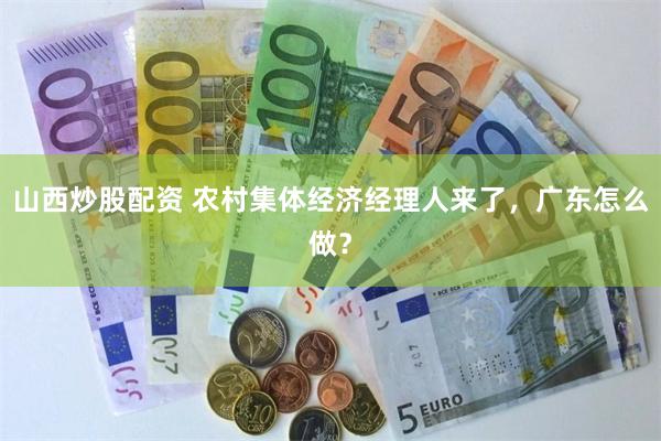 山西炒股配资 农村集体经济经理人来了，广东怎么做？