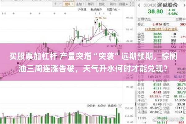 买股票加杠杆 产量突增“突袭”远期预期，棕榈油三周连涨告破，天气升水何时才能兑现？