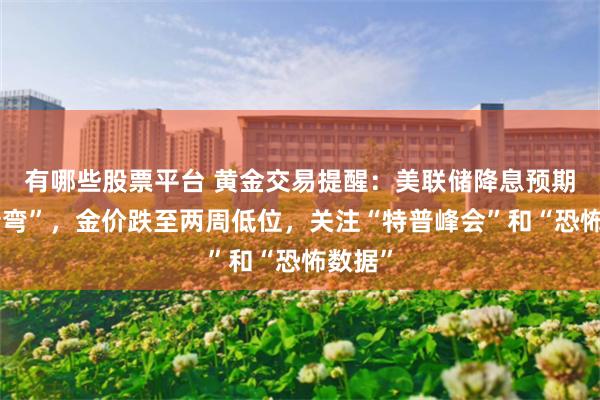 有哪些股票平台 黄金交易提醒：美联储降息预期“急转弯”，金价跌至两周低位，关注“特普峰会”和“恐怖数据”