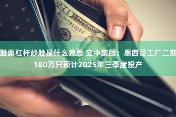 股票杠杆炒股是什么意思 立中集团：墨西哥工厂二期180万只预计2025年三季度投产