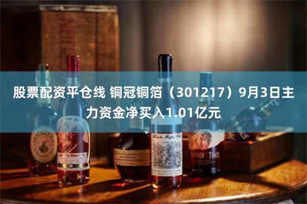 股票配资平仓线 铜冠铜箔（301217）9月3日主力资金净买入1.01亿元