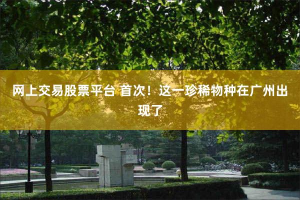 网上交易股票平台 首次！这一珍稀物种在广州出现了