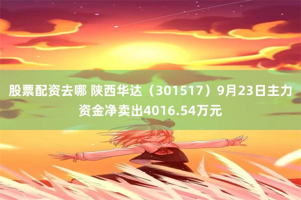 股票配资去哪 陕西华达（301517）9月23日主力资金净卖出4016.54万元