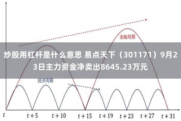 炒股用杠杆是什么意思 易点天下（301171）9月23日主力资金净卖出8645.23万元