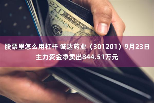 股票里怎么用杠杆 诚达药业（301201）9月23日主力资金净卖出844.51万元