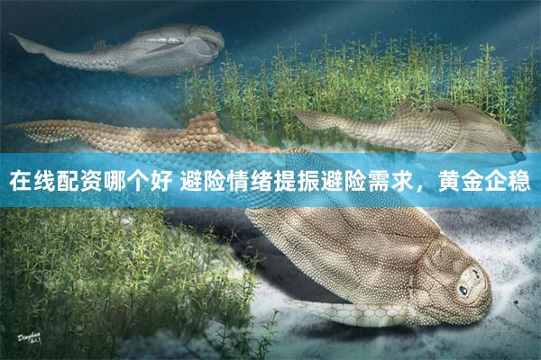 在线配资哪个好 避险情绪提振避险需求，黄金企稳
