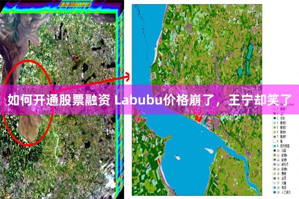 如何开通股票融资 Labubu价格崩了，王宁却笑了