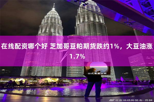 在线配资哪个好 芝加哥豆粕期货跌约1%，大豆油涨1.7%