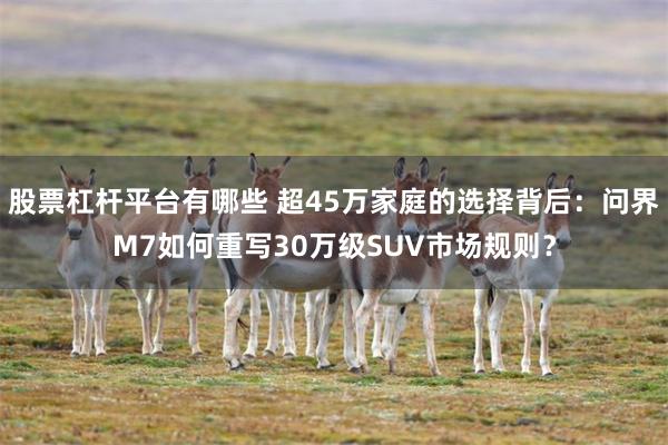股票杠杆平台有哪些 超45万家庭的选择背后：问界M7如何重写30万级SUV市场规则？