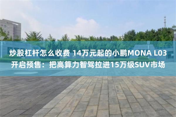 炒股杠杆怎么收费 14万元起的小鹏MONA L03开启预售：把高算力智驾拉进15万级SUV市场
