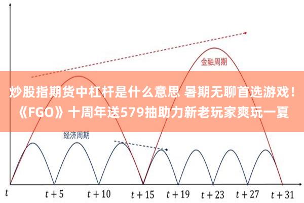 炒股指期货中杠杆是什么意思 暑期无聊首选游戏！《FGO》十周年送579抽助力新老玩家爽玩一夏