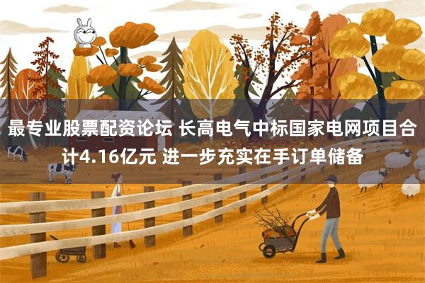 最专业股票配资论坛 长高电气中标国家电网项目合计4.16亿元 进一步充实在手订单储备