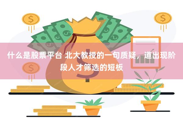 什么是股票平台 北大教授的一句质疑，道出现阶段人才筛选的短板