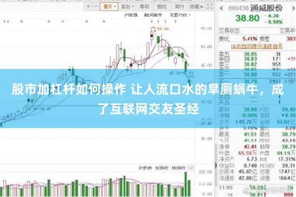 股市加杠杆如何操作 让人流口水的旱厕蜗牛，成了互联网交友圣经