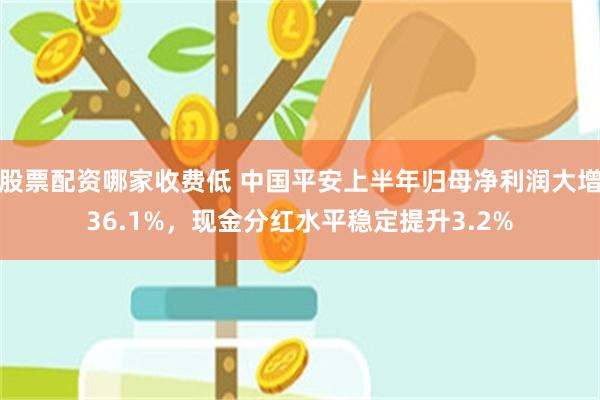 股票配资哪家收费低 中国平安上半年归母净利润大增36.1%，现金分红水平稳定提升3.2%