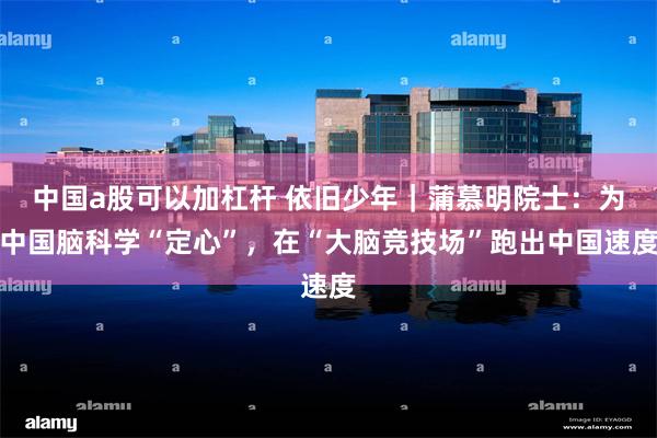 中国a股可以加杠杆 依旧少年｜蒲慕明院士：为中国脑科学“定心”，在“大脑竞技场”跑出中国速度