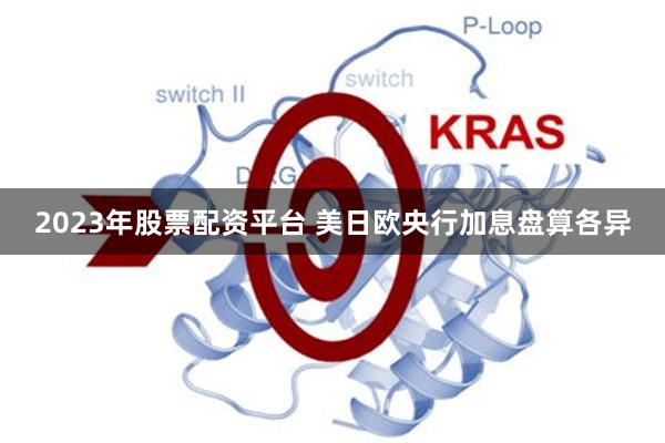 2023年股票配资平台 美日欧央行加息盘算各异