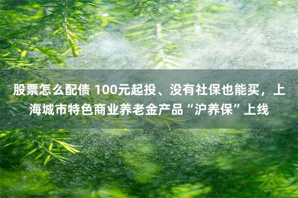 股票怎么配债 100元起投、没有社保也能买，上海城市特色商业养老金产品“沪养保”上线