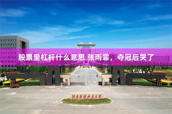 股票里杠杆什么意思 张雨霏，夺冠后哭了