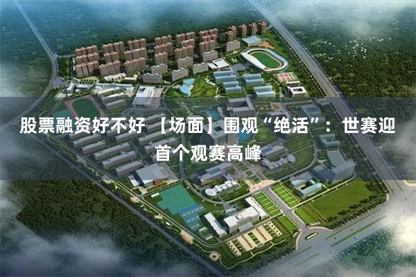 股票融资好不好 【场面】围观“绝活”：世赛迎首个观赛高峰
