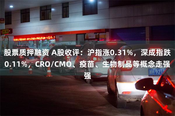 股票质押融资 A股收评：沪指涨0.31%，深成指跌0.11%，CRO/CMO、疫苗、生物制品等概念走强