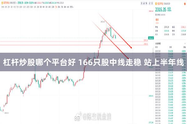 杠杆炒股哪个平台好 166只股中线走稳 站上半年线
