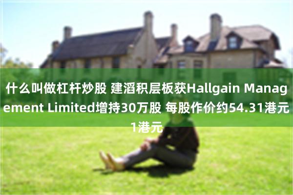 什么叫做杠杆炒股 建滔积层板获Hallgain Management Limited增持30万股 每股作价约54.31港元