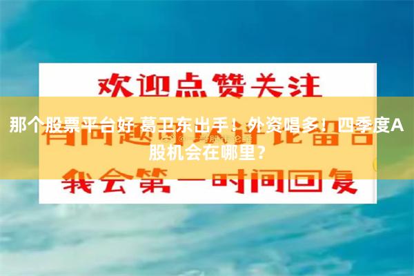 那个股票平台好 葛卫东出手！外资唱多！四季度A股机会在哪里？