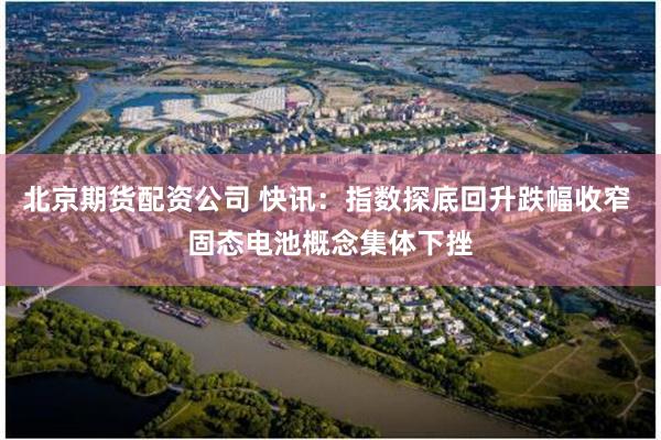 北京期货配资公司 快讯：指数探底回升跌幅收窄 固态电池概念集体下挫
