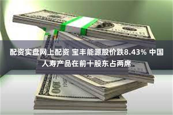 配资实盘网上配资 宝丰能源股价跌8.43% 中国人寿产品在前十股东占两席